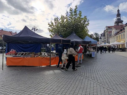 Rynek w Pszczynie